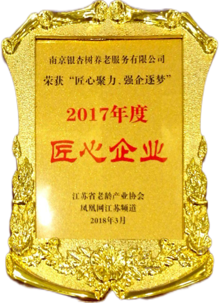 2017年度匠心企业