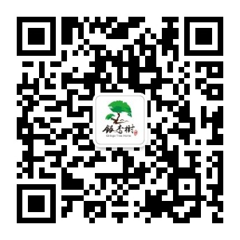 戴南银杏树养老